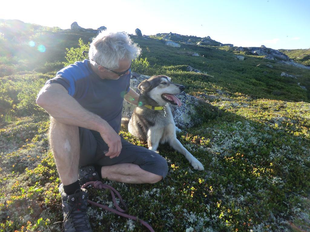 Haukeli Husky Fjellgardヴィラ エクステリア 写真